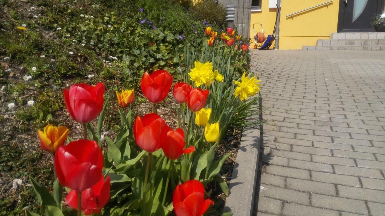 Ferienwohnung Oberpfannenstiel Bernsbach Екстер'єр фото